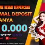 Mau Cari Slot Seru Plus Gacor? IDN Slot Pialasport Jawabannya
